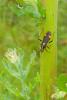 94555 – Photo : Patrick Le Mao – France (22)