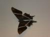 94659 – Photo : Rémi Maguet – Singapour