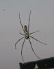 94532 – Photo : Casnabet Justin – Laos