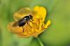 94277 – Photo : Fernando Losada – France (91)