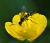 94525 – Photo : Fernando Losada – France (91)