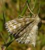 94406 – Photo : Guillaume Chorgnon – France (42)