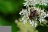 94076 – Photo : Fernando Losada – France (91)