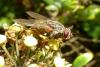95798 – Photo : Patrick Le Mao – France (22)