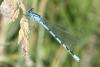 95251 – Photo : Philippe Petit – France (45)