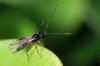 95849 – Photo : Christophe Quintin – France (21)