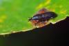 95046 – Photo : Christophe Quintin – France (22)