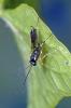 95879 – Photo : Christophe Quintin – France (21)