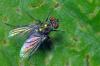 95036 – Photo : Christophe Quintin – France (21)