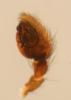 95903 – Photo : roy – France (11)