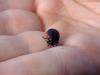 95894 – Photo : Maxime Barbier – France (23)