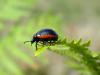 95895 – Photo : Maxime Barbier – France (23)