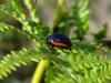 95896 – Photo : Maxime Barbier – France (23)