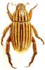 95687 – Photo : Patrick BONNEAU – Madagascar