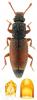 95390 – Photo : Piezo – France (91)