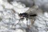 95272 – Photo : Christophe Quintin – France (21)