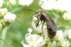 95030 – Photo : Patrick Le Mao – France (22)