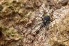 95928 – Photo : Patrick Le Mao – France (22)