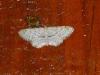 95710 – Photo : Ppersuy – Portugal