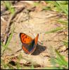 95870 – Photo : Josselyne Bayle – France (09)