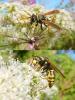 95082 – Photo : Patrick Le Mao – France (22)