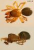 96991 – Photo : roy – France (85)