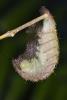 96220 – Photo : Anonyme – Madagascar
