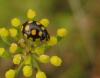 96747 – Photo : clovis – Croatie