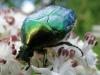96840 – Photo : Annie Schaetzel – France (57)