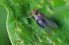 96929 – Photo : Christophe Quintin – France (21)