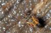 96009 – Photo : Christophe Quintin – France (21)