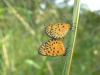 96116 – Photo : OCIS – Bénin