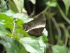 96119 – Photo : OCIS – Bénin