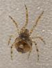96089 – Photo : Francois Diemert – France (44)