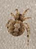 96090 – Photo : Francois Diemert – France (44)