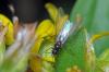 96935 – Photo : Christophe Quintin – France (21)