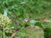 96302 – Photo : clovis – Italie