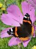 96543 – Photo : Annie Schaetzel – France (54)