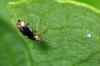 96390 – Photo : Christophe Quintin – France (21)