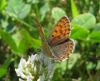 96677 – Photo : clovis – Italie