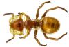 96080 – Photo : J.-H. Yvinec – Guyane française