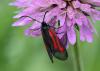 96730 – Photo : Eric SYLVESTRE – Andorre