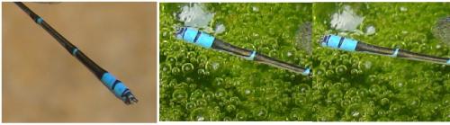 Réf. 97 110 : Pseudagrion microcephalum