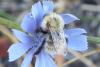 97264 – Photo : Nicolas Alric – France (05)