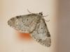 97168 – Photo : Pierre Gros – France (06)