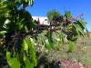 97757 – Photo : Terzieff – Maroc