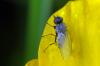 97911 – Photo : Christophe Quintin – France (21)