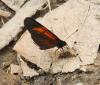 97595 – Photo : Patrick Decreus – Colombie