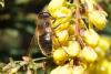 97742 – Photo : Nicolas Alric – France (12)