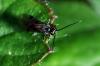97611 – Photo : Christophe Quintin – France (21)